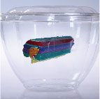 Floating Object, Plastic container, thread, 2011-2008, 17.8×17.8×12.7cm